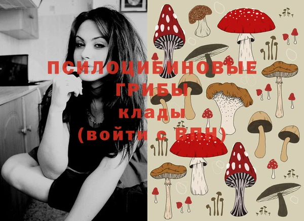 прущий лед Алексеевка