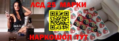 a pvp Камышлов