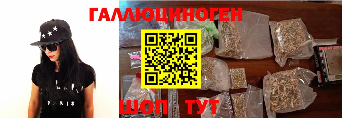 Мирный  Псилоцибиновые грибы прущие грибы  Вход с VPN 